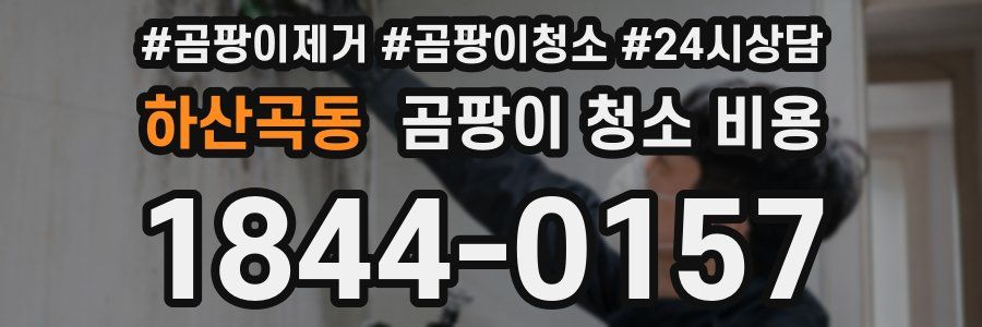 하산곡동 곰팡이 청소 비용
