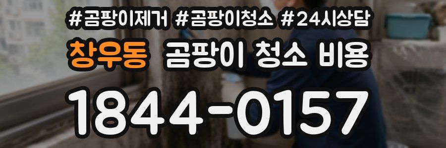 창우동 곰팡이 청소 비용