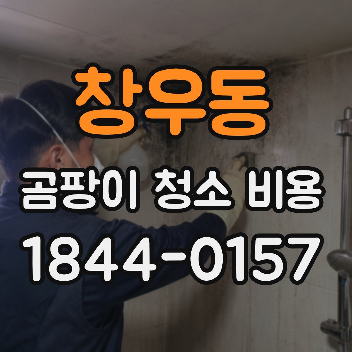 창우동 곰팡이 청소 비용