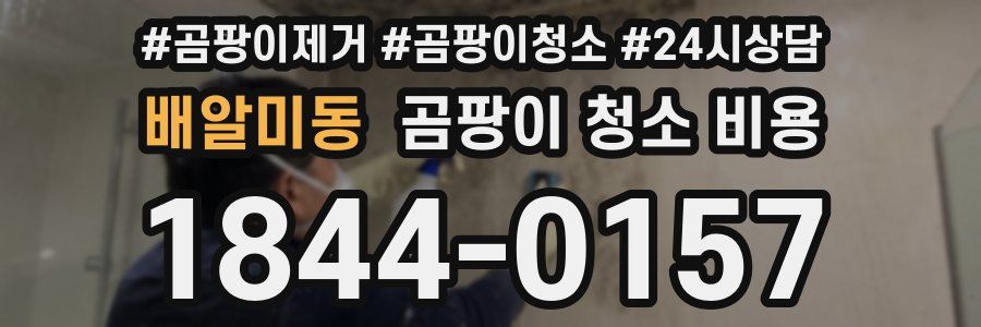 배알미동 곰팡이 청소 비용
