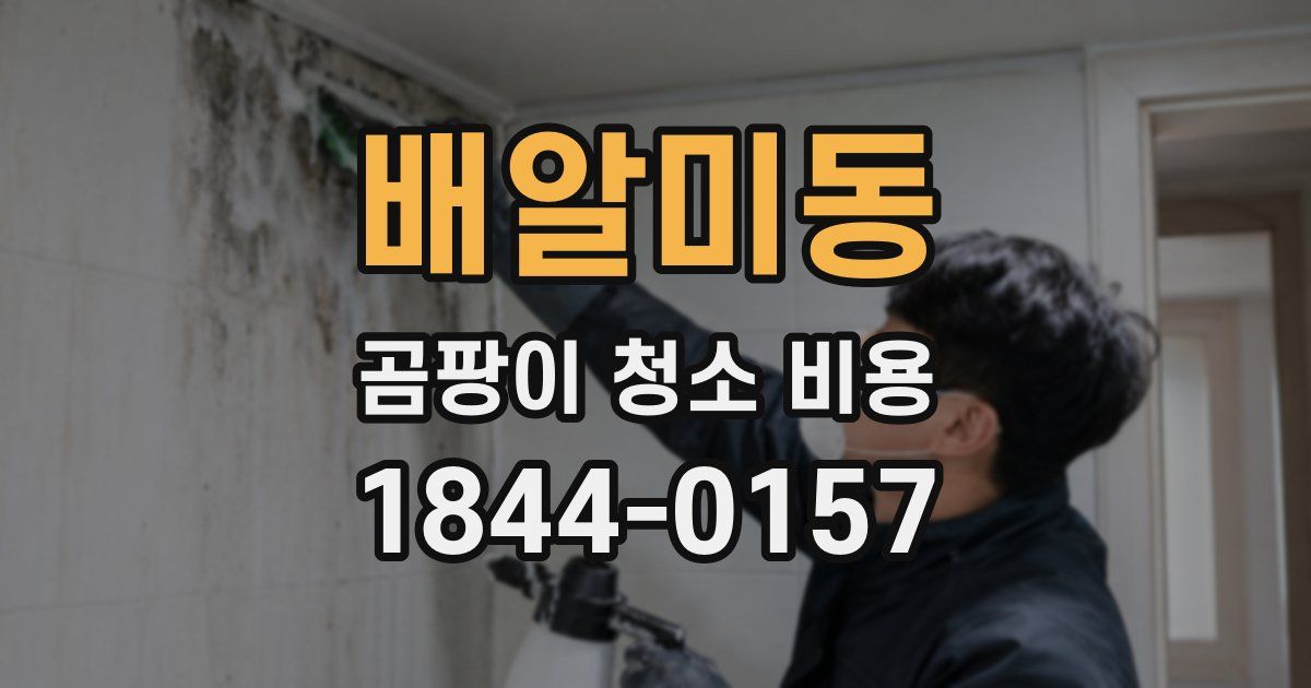 배알미동 곰팡이 청소 비용