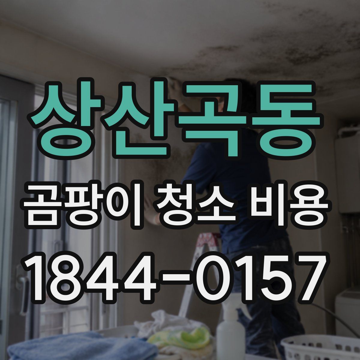 상산곡동 곰팡이 청소 비용