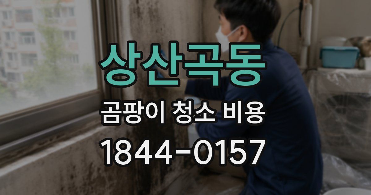 상산곡동 곰팡이 청소 비용