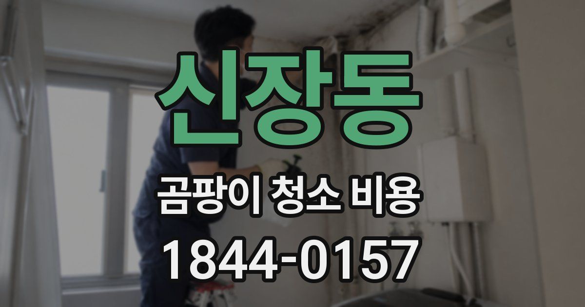 신장동 곰팡이 청소 비용