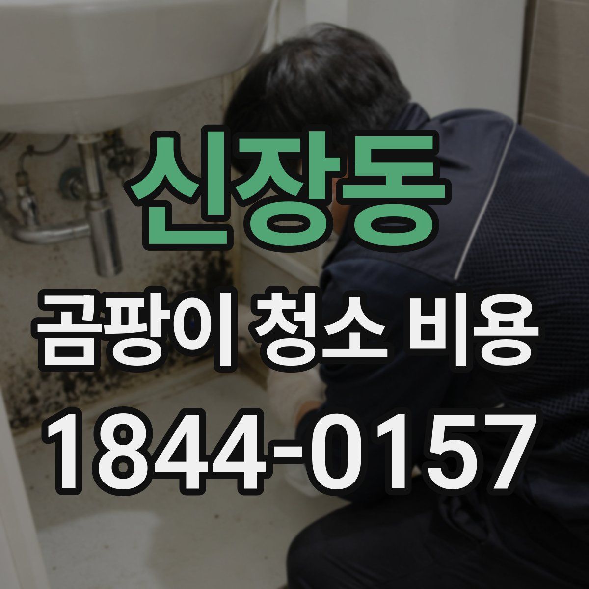 신장동 곰팡이 청소 비용