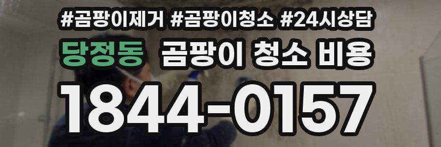당정동 곰팡이 청소 비용