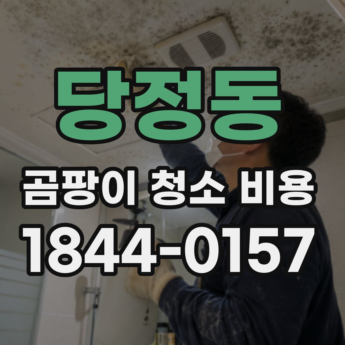 당정동 곰팡이 청소 비용