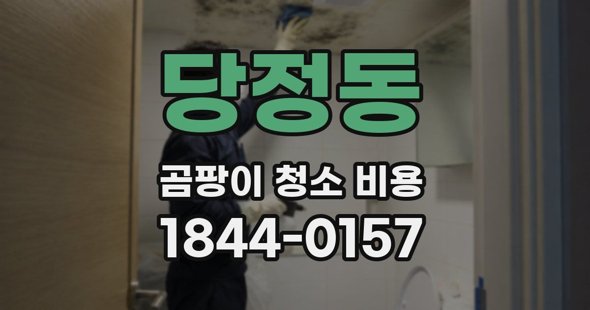 당정동 곰팡이 청소 비용