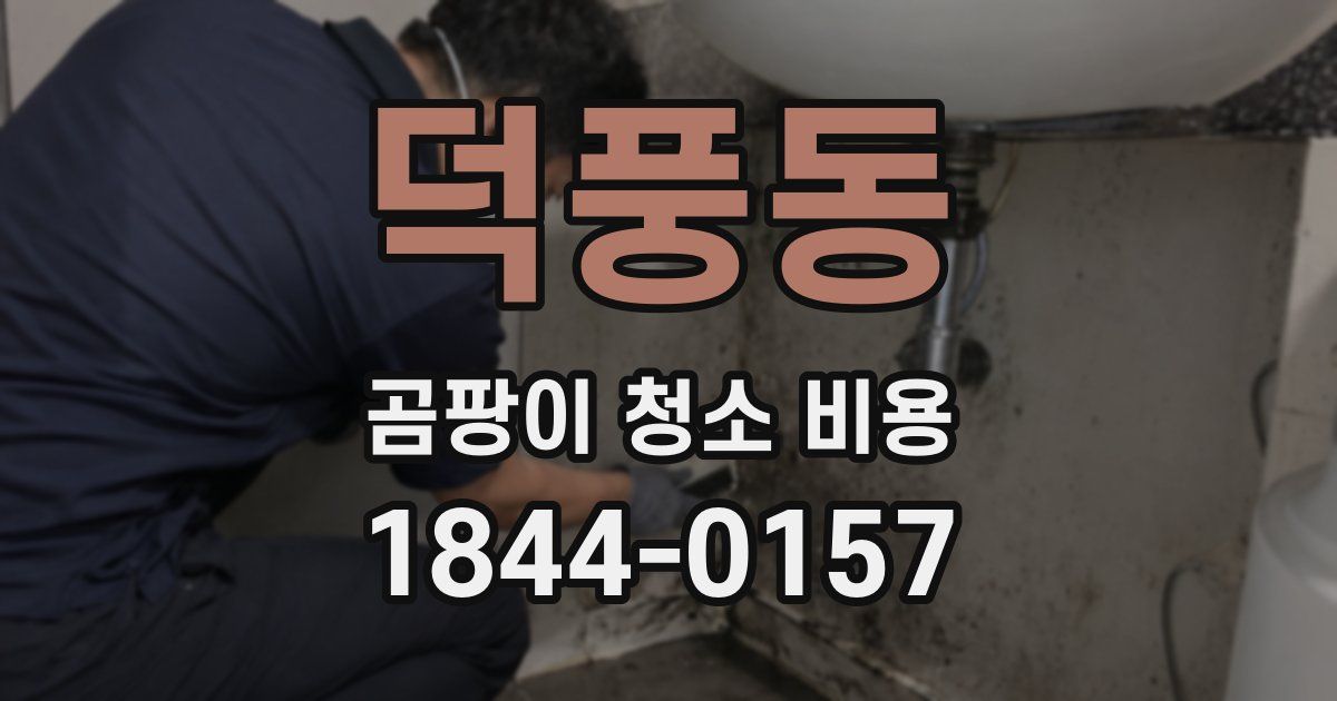 덕풍동 곰팡이 청소 비용