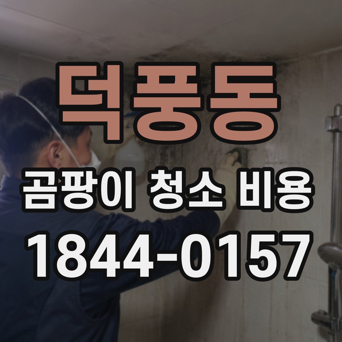 덕풍동 곰팡이 청소 비용