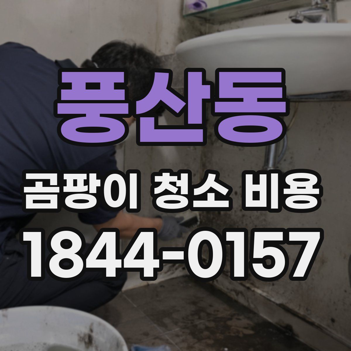 풍산동 곰팡이 청소 비용