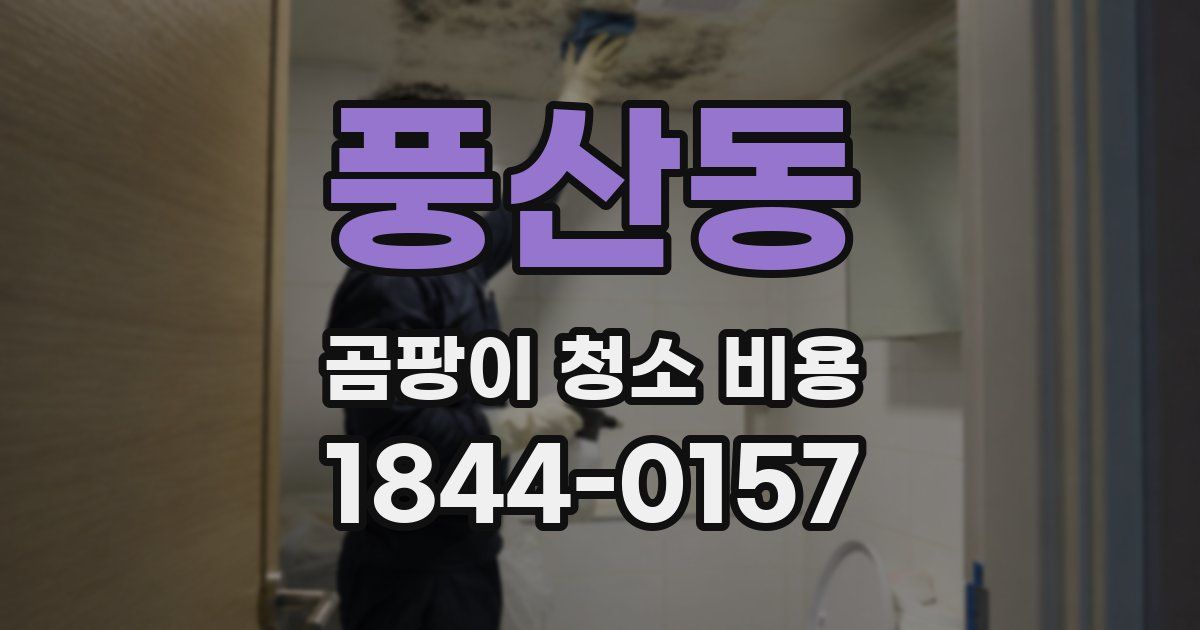 풍산동 곰팡이 청소 비용