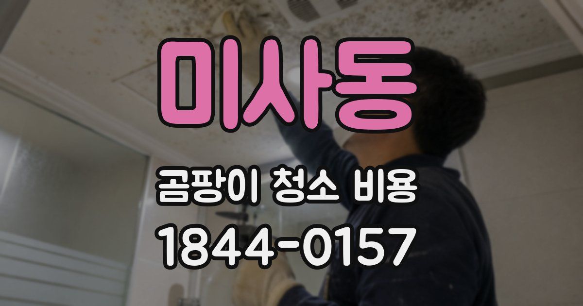 미사동 곰팡이 청소 비용