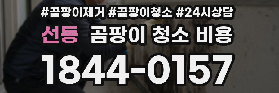 선동 곰팡이 청소 비용