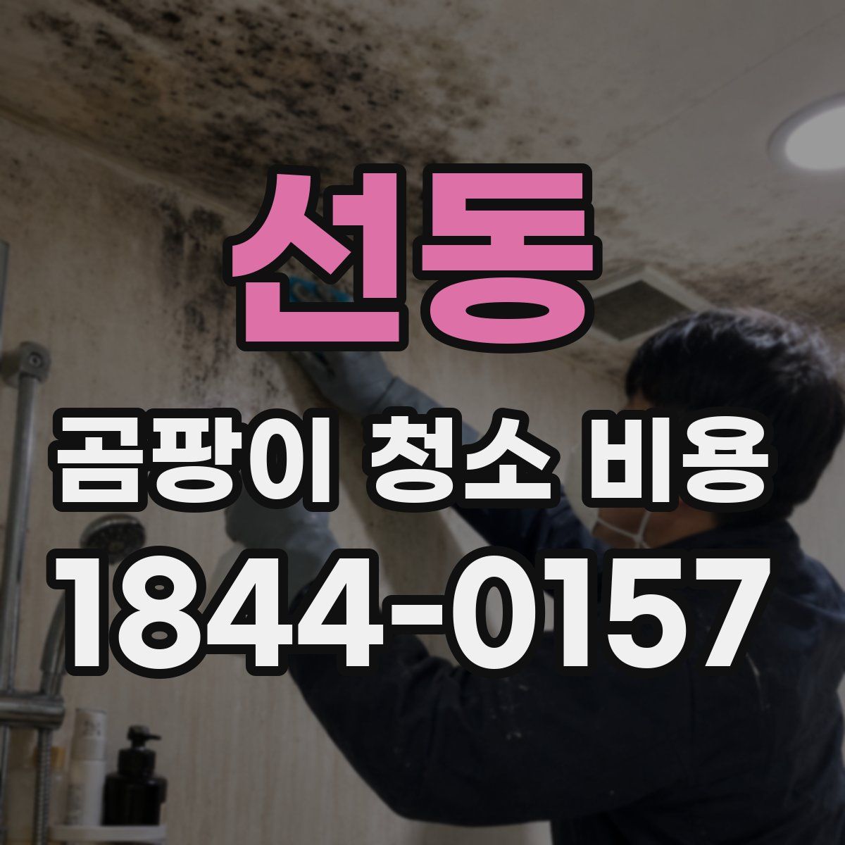 선동 곰팡이 청소 비용