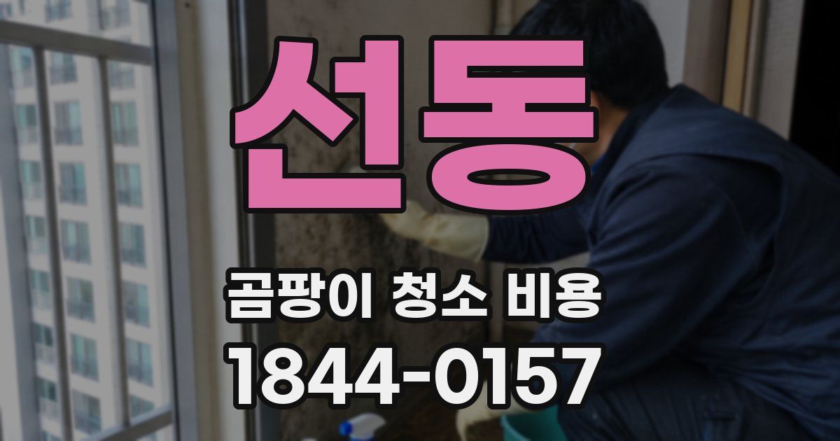 선동 곰팡이 청소 비용