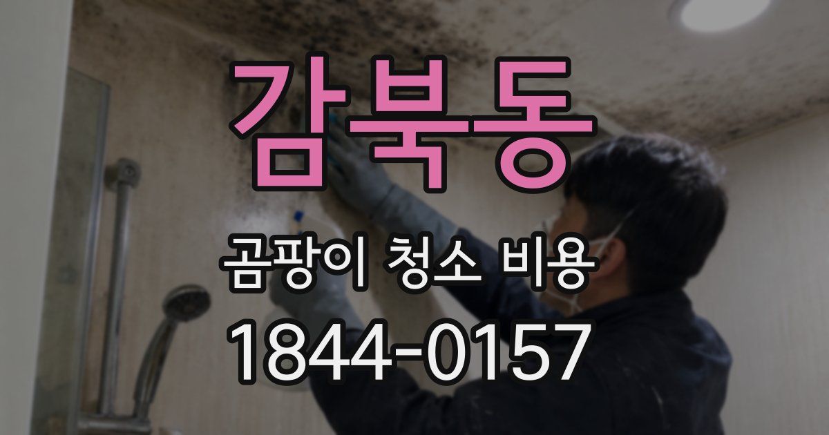감북동 곰팡이 청소 비용