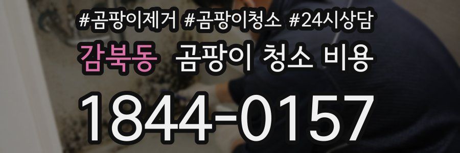 감북동 곰팡이 청소 비용