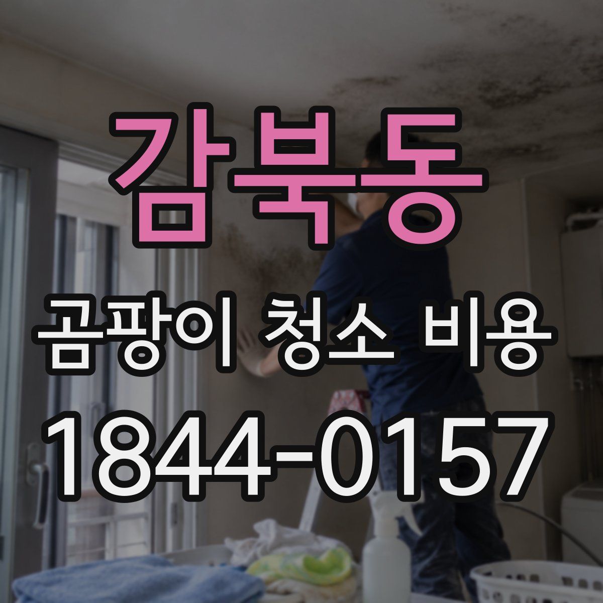 감북동 곰팡이 청소 비용