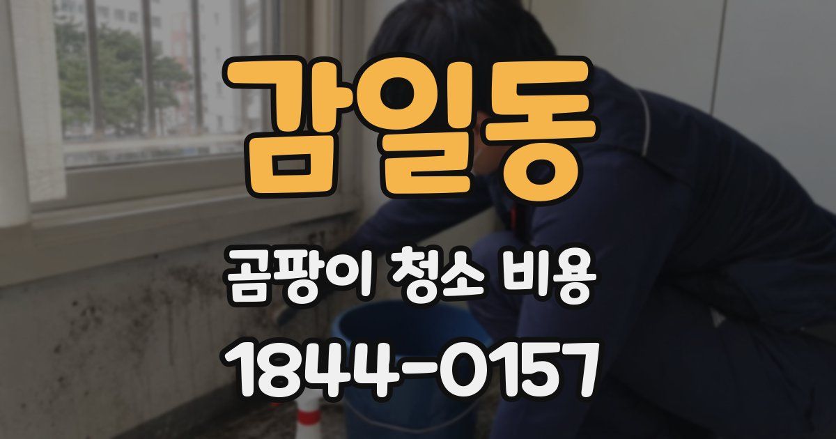감일동 곰팡이 청소 비용