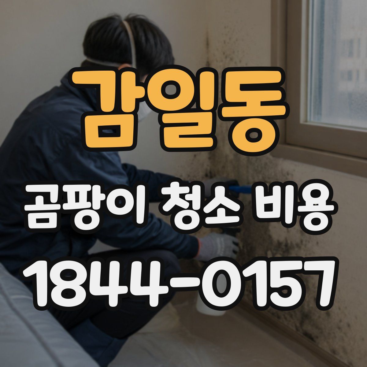 감일동 곰팡이 청소 비용