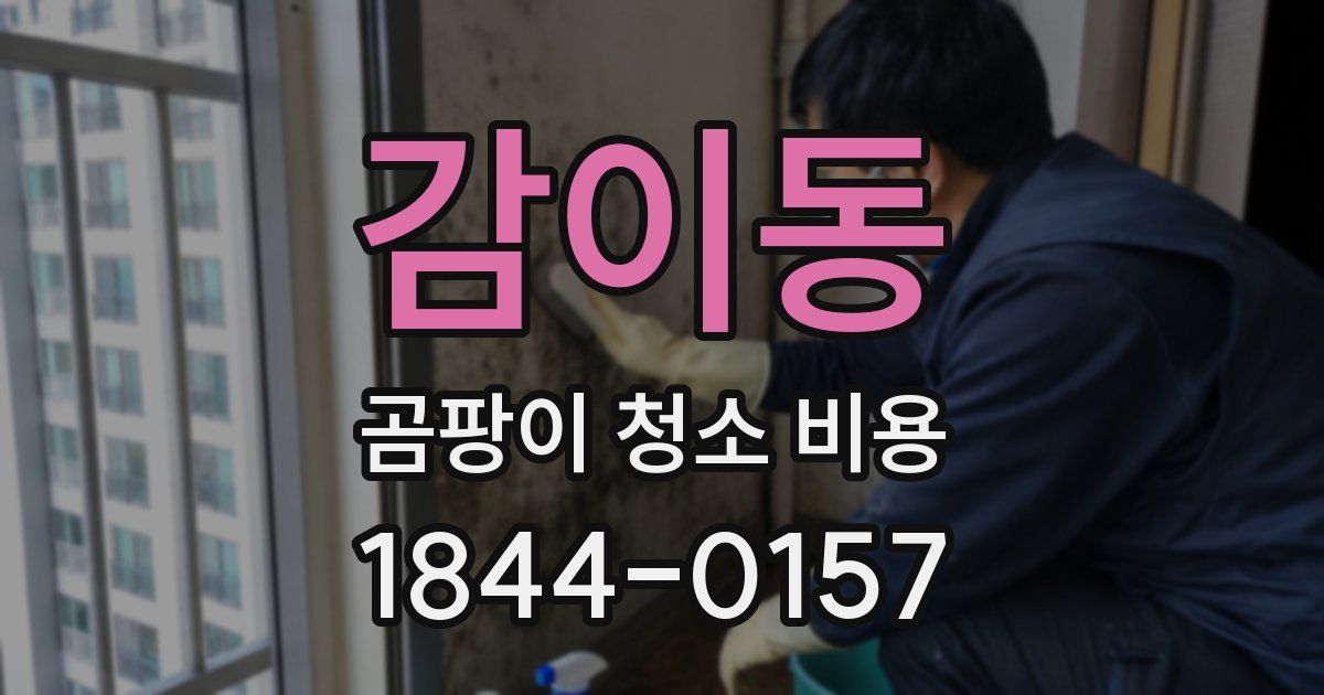 감이동 곰팡이 청소 비용