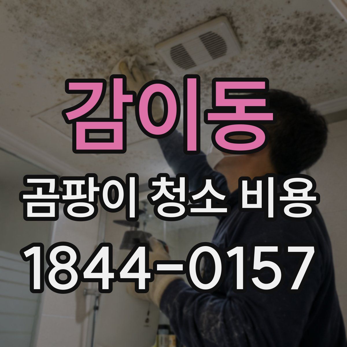 감이동 곰팡이 청소 비용