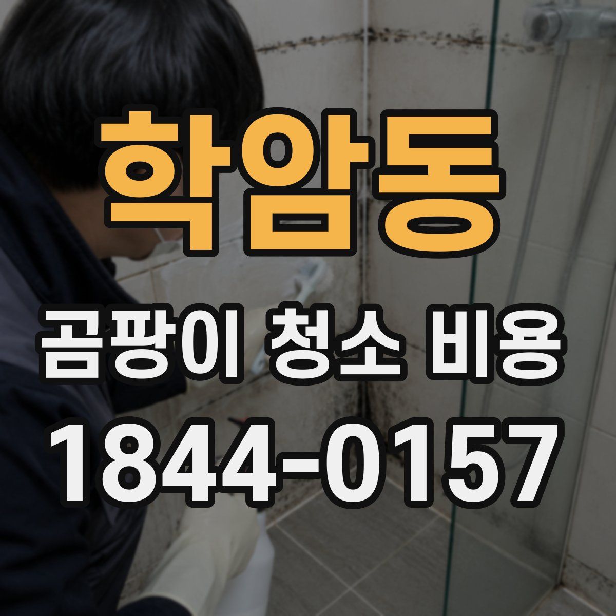 학암동 곰팡이 청소 비용
