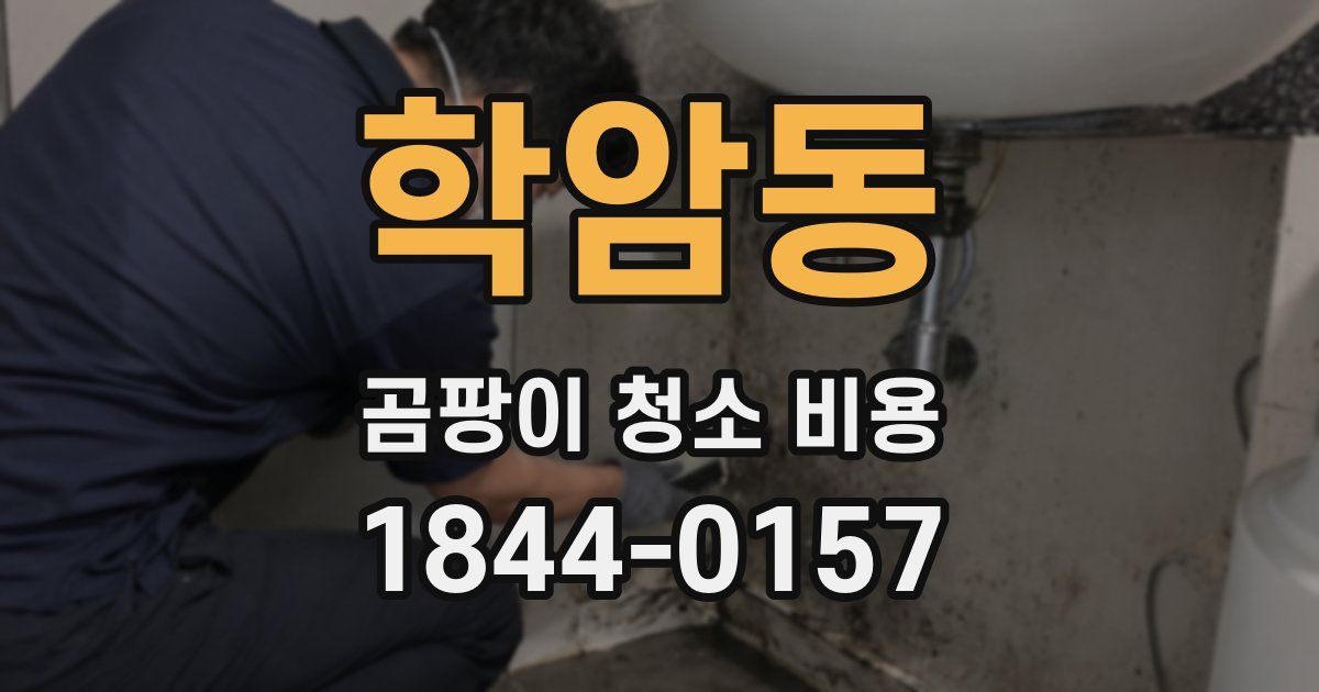 학암동 곰팡이 청소 비용