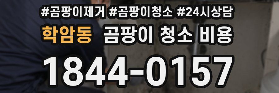 학암동 곰팡이 청소 비용