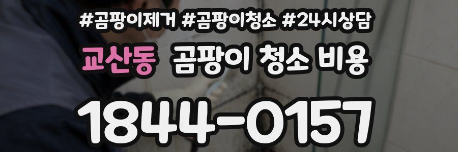 교산동 곰팡이 청소 비용