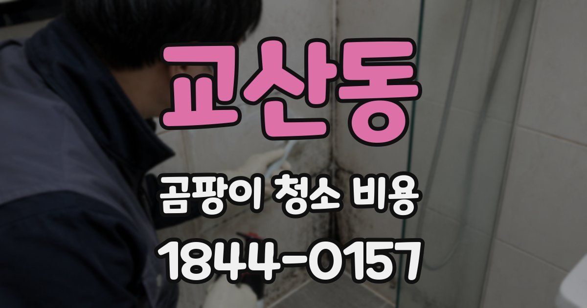 교산동 곰팡이 청소 비용