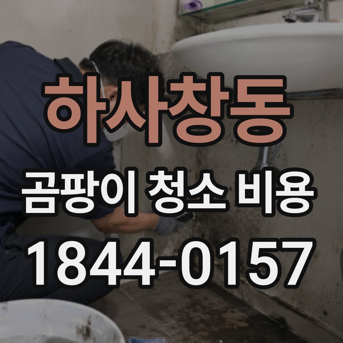 하사창동 곰팡이 청소 비용