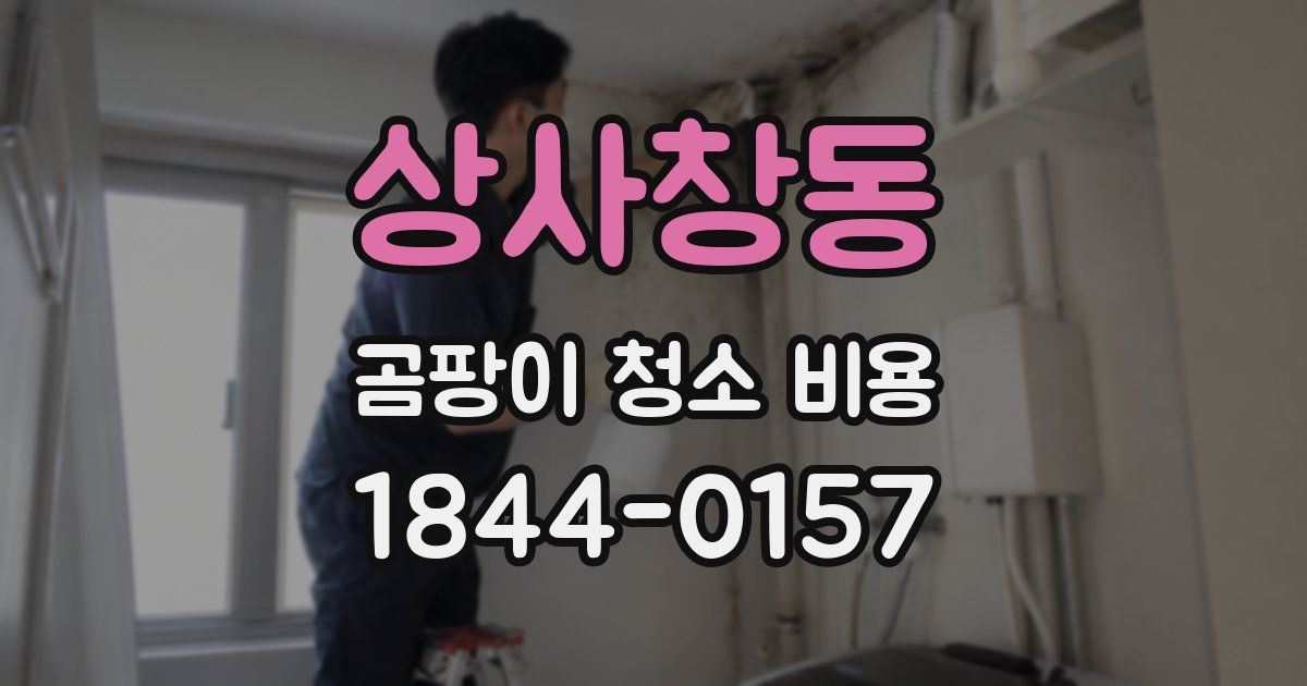 상사창동 곰팡이 청소 비용
