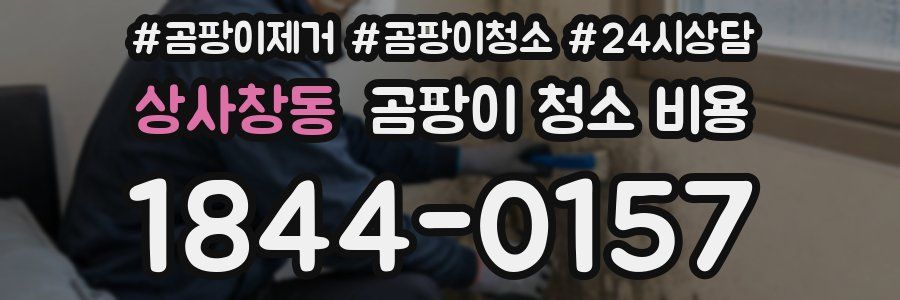 상사창동 곰팡이 청소 비용