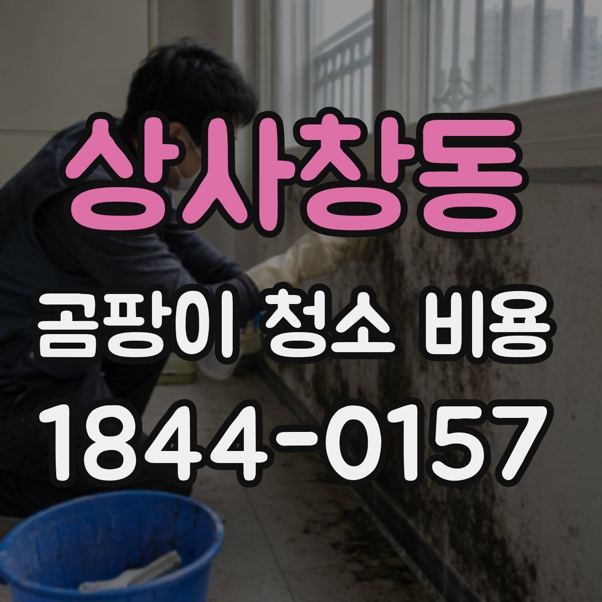상사창동 곰팡이 청소 비용