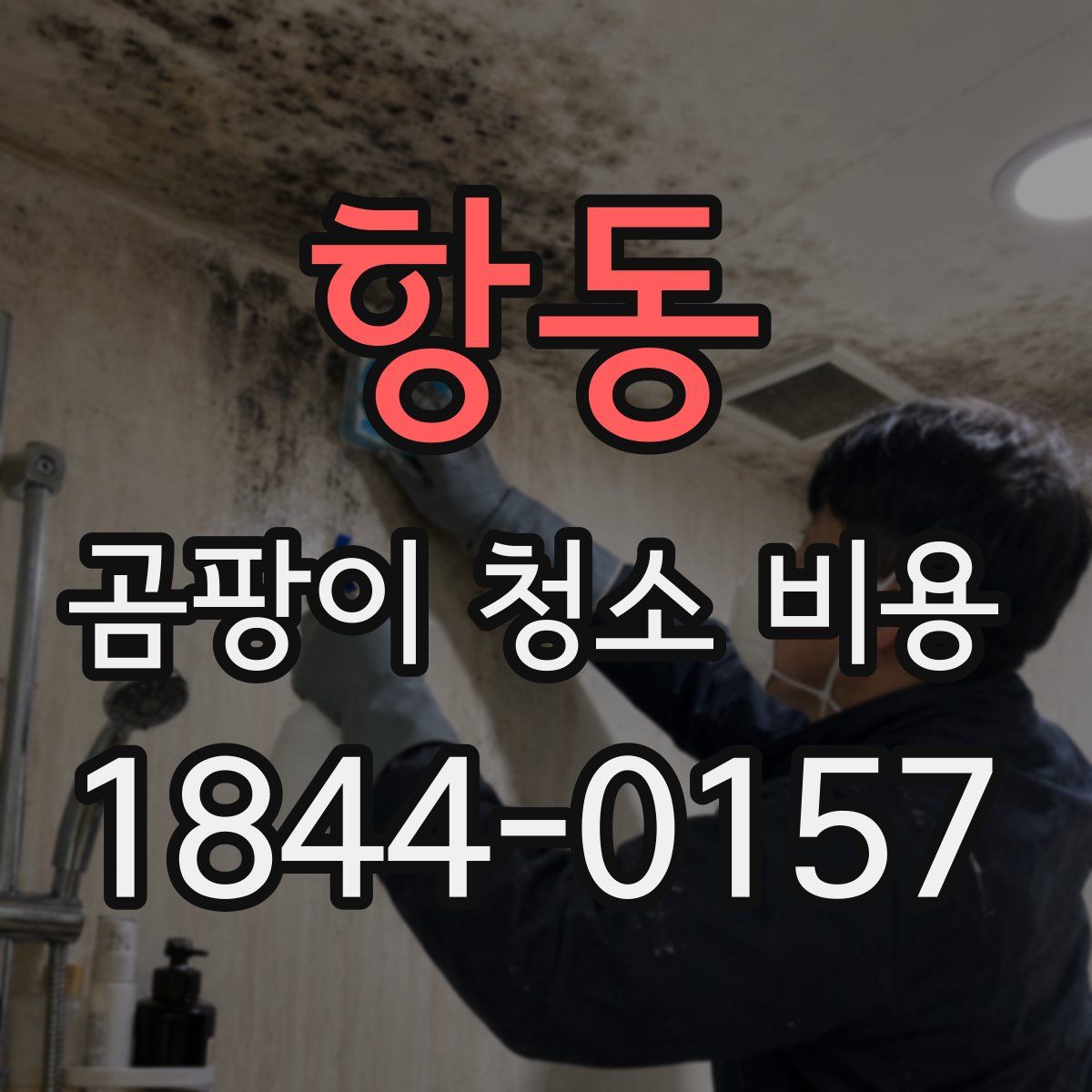 항동 곰팡이 청소 비용
