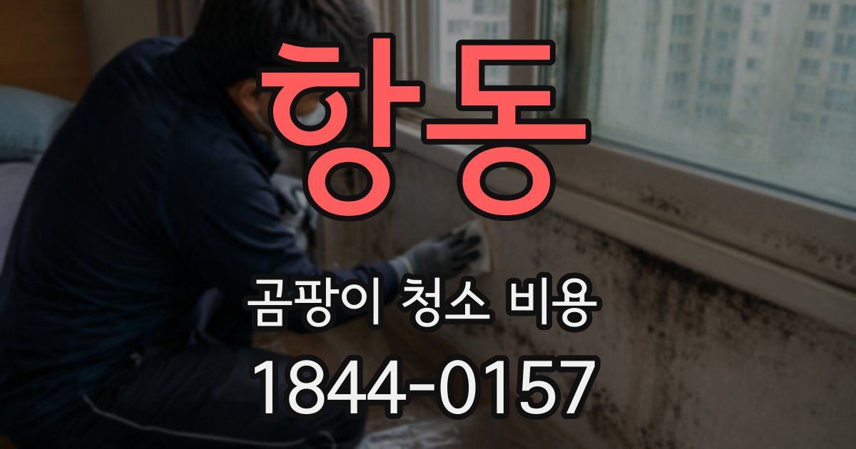 항동 곰팡이 청소 비용