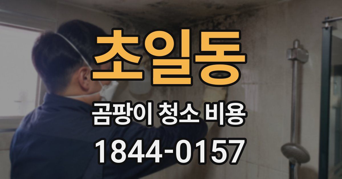 초일동 곰팡이 청소 비용