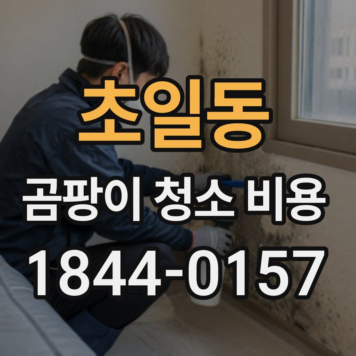 초일동 곰팡이 청소 비용