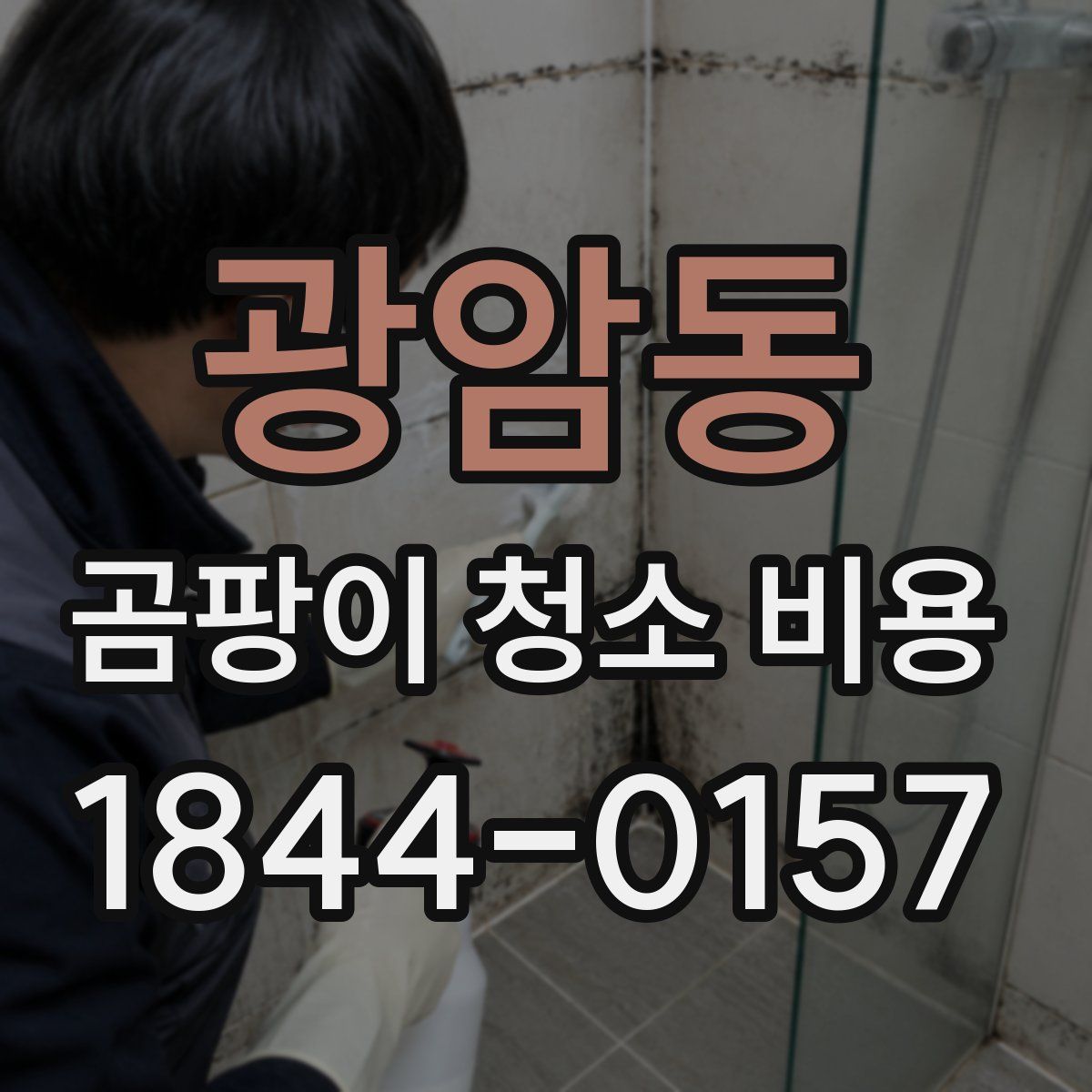 광암동 곰팡이 청소 비용