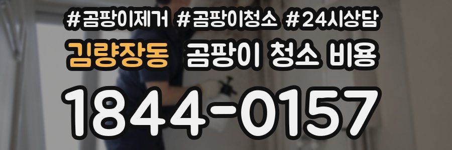 김량장동 곰팡이 청소 비용
