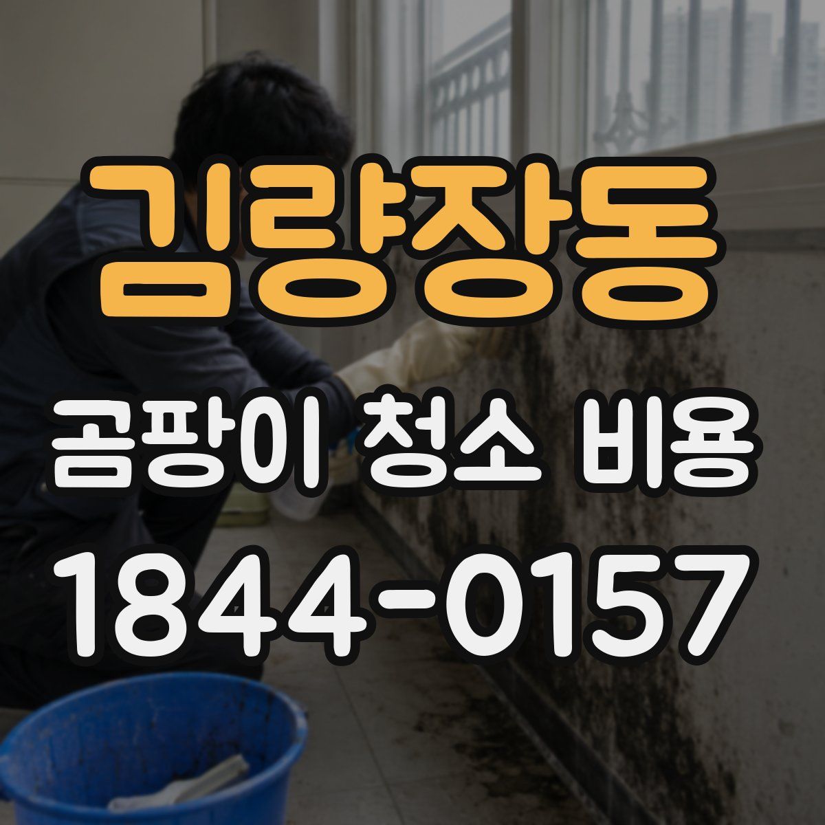 김량장동 곰팡이 청소 비용