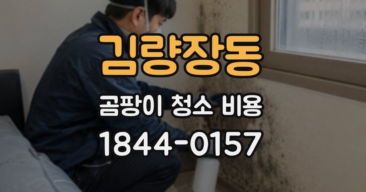 김량장동 곰팡이 청소 비용