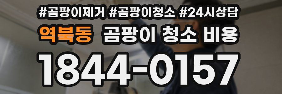 역북동 곰팡이 청소 비용