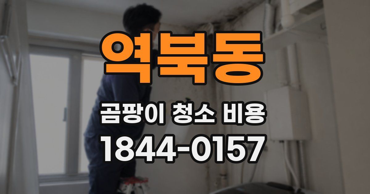 역북동 곰팡이 청소 비용