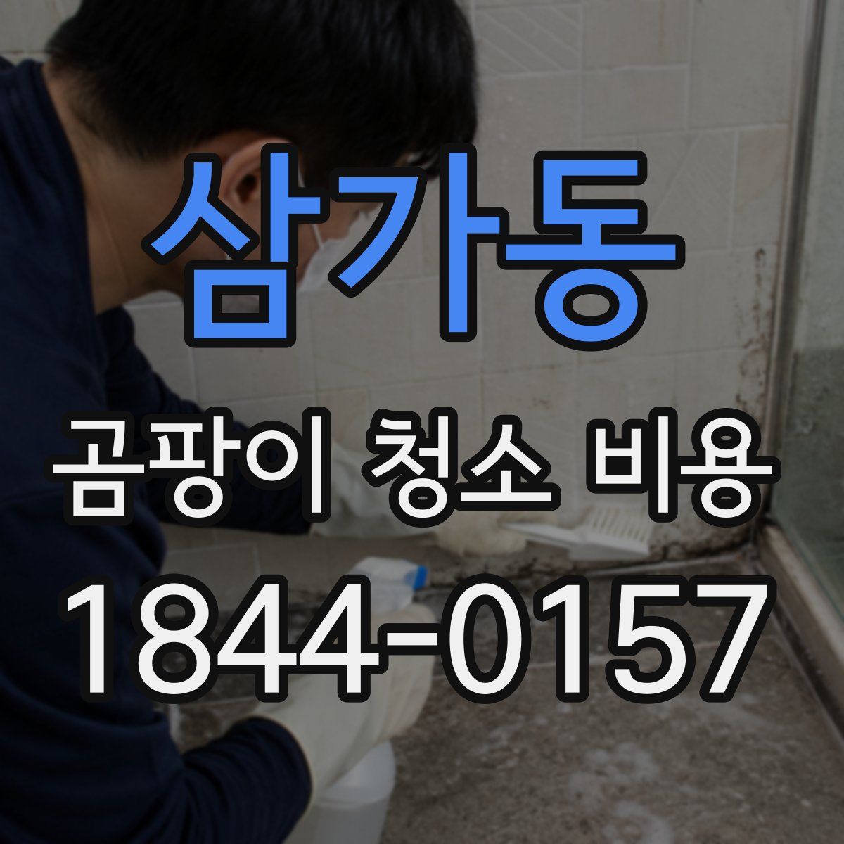 삼가동 곰팡이 청소 비용