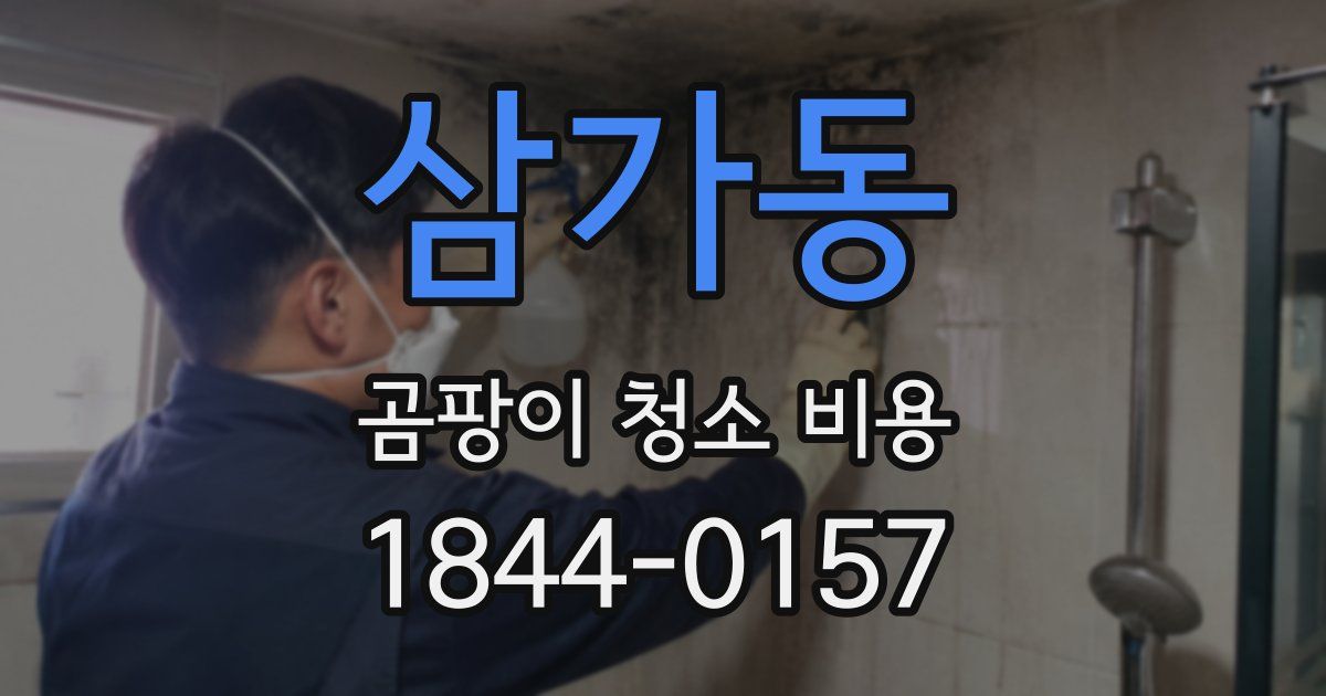 삼가동 곰팡이 청소 비용