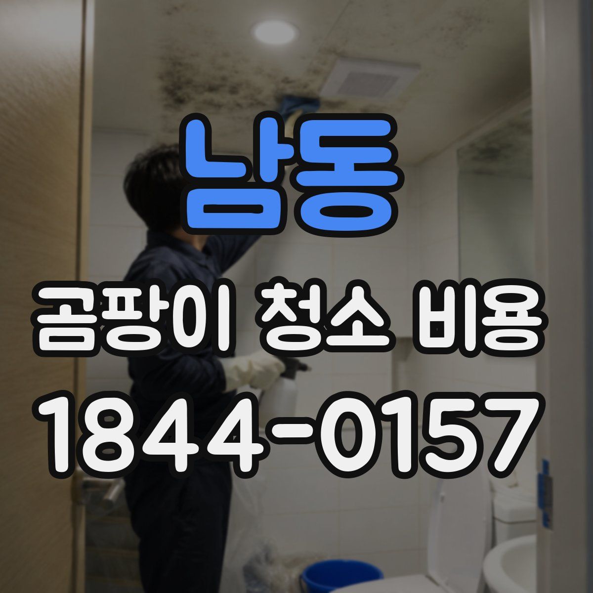 남동 곰팡이 청소 비용