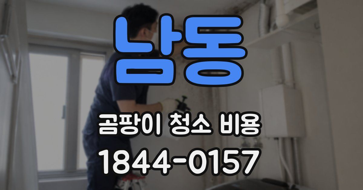 남동 곰팡이 청소 비용
